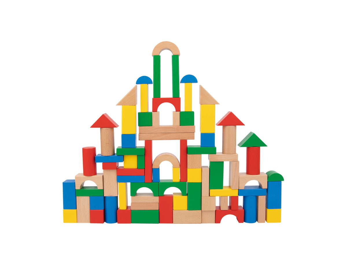 Tooky Toys 100-Piece Block Set