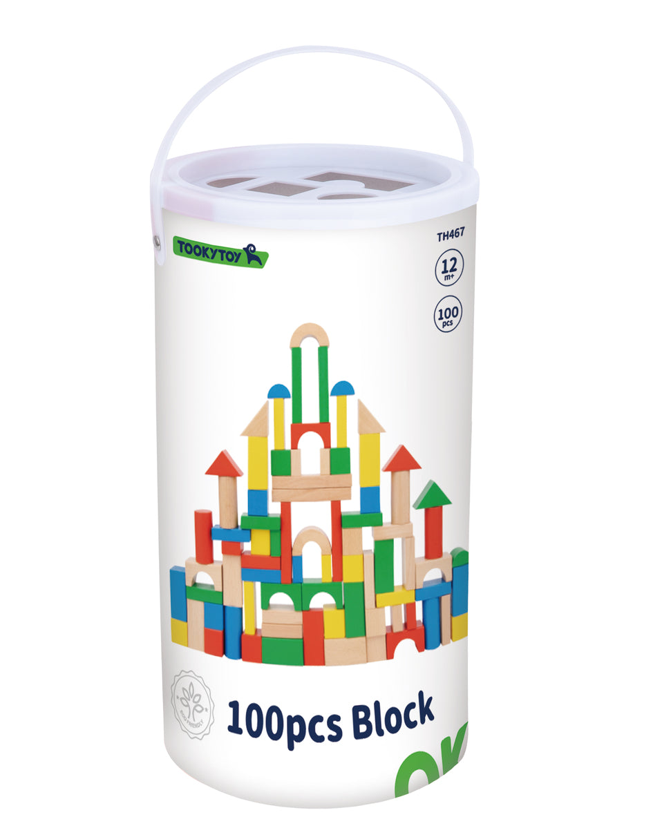 Tooky Toys 100-Piece Block Set