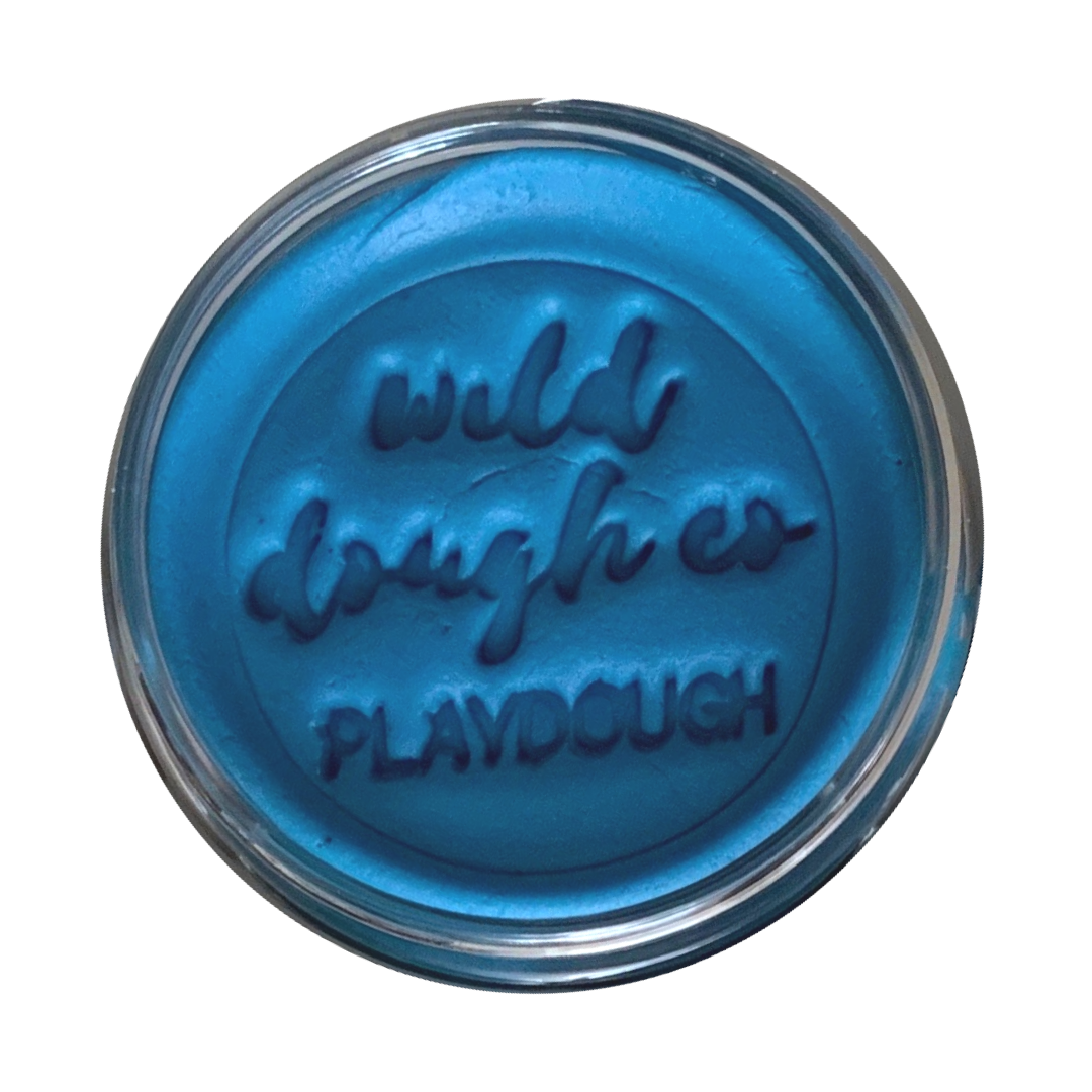 Wild Dough Pacific Blue Playdough