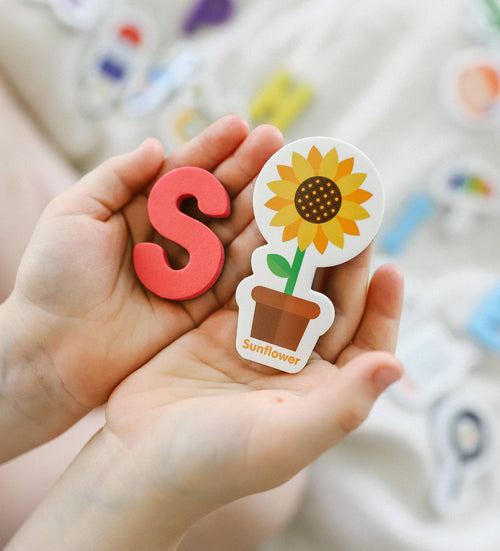 Chunky Magnetic Objects & Letters