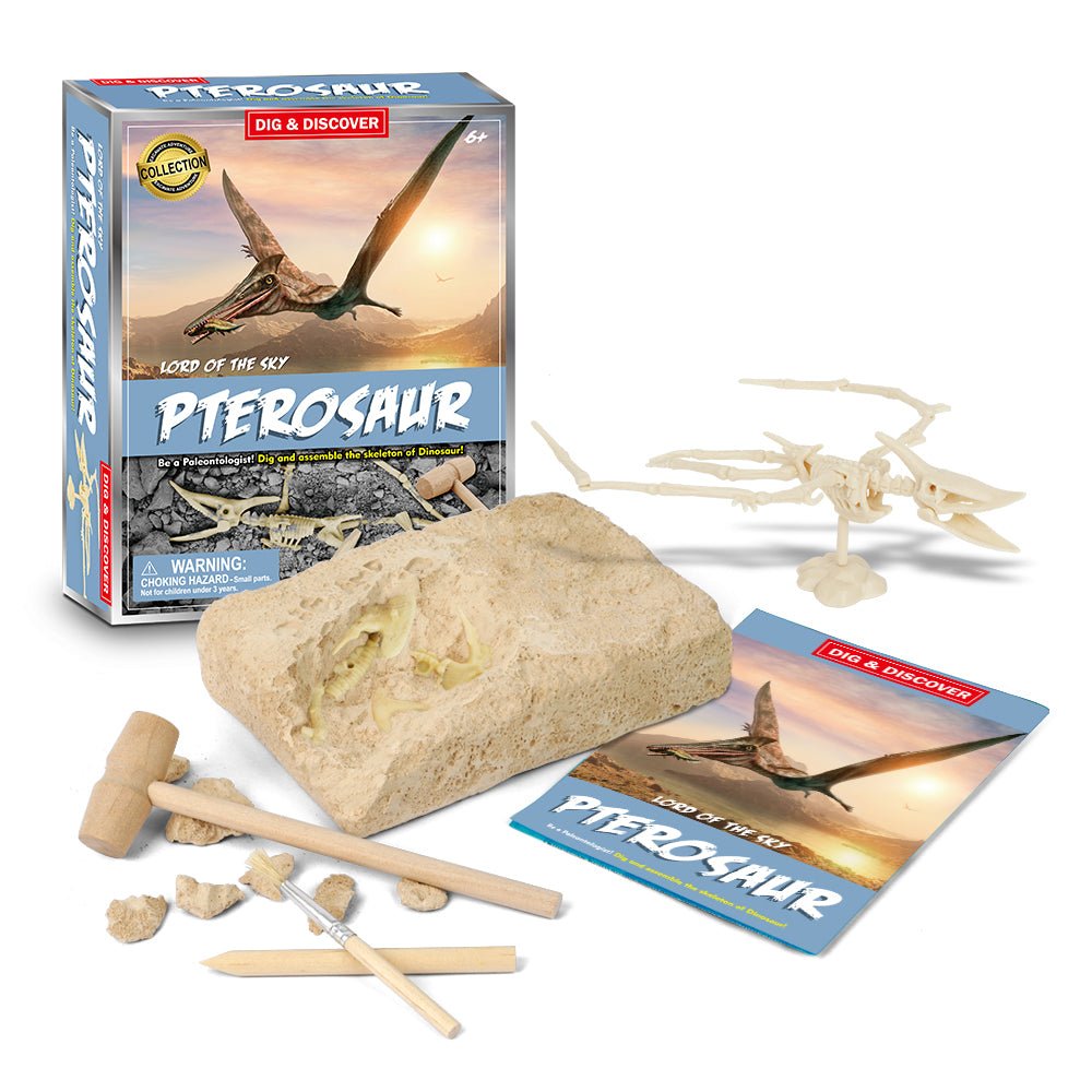 Dig & Discover Pterosaur Dig Kits