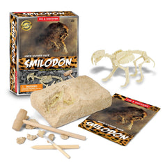 Dig & Discover Saber - toothed Tiger Dig Kits