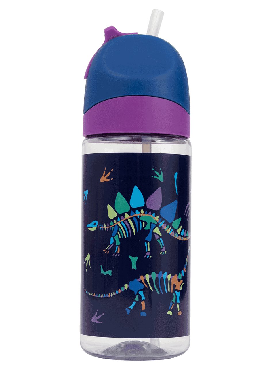 Little Water Bottle - 420ml – Dino Bones