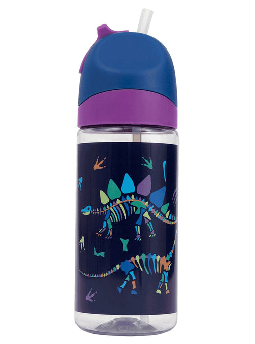 Little Water Bottle - 420ml – Dino Bones