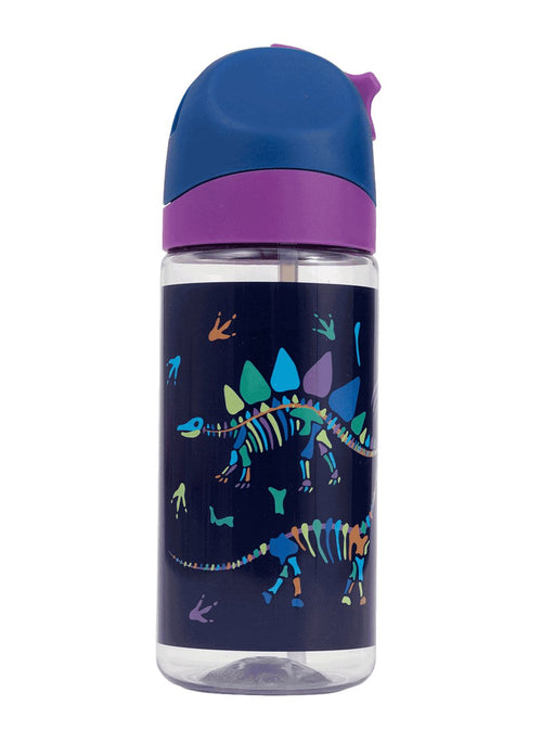 Little Water Bottle - 420ml – Dino Bones