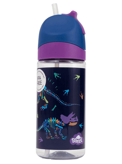 Little Water Bottle - 420ml – Dino Bones