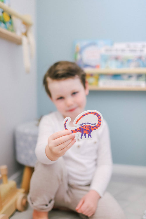 Magnetic Dinosaurs and Letters Set